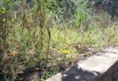 Sòl urbà en venda a la España, Esparreguera, ref.: TR124830 foto