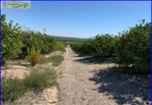 Xalet independent amb terreny en venda a la España, Favanella, ref.: TR279900 foto