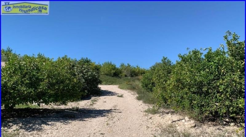 Murcia - Abanilla - 18447m2