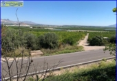 Xalet independent amb terreny en venda a la España, Favanella, ref.: TR279900 foto