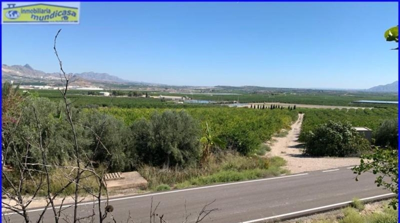 Murcia - Abanilla - 18447m2