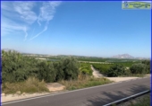 Xalet independent amb terreny en venda a la España, Favanella, ref.: TR279900 foto