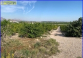 Xalet independent amb terreny en venda a la España, Favanella, ref.: TR279900 foto