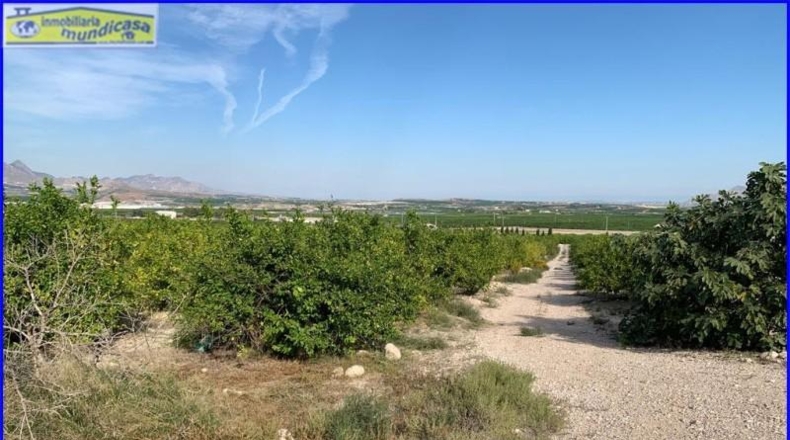 Murcia - Abanilla - 18447m2