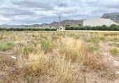 Non-developable land for sale on España, Lorca, ref: TR125159 photo