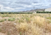 Non-developable land for sale on España, Lorca, ref: TR125159 photo