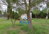 Non-developable land for sale on España, Albacete, ref: TR125802 photo