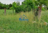 Non-developable land for sale on España, Albacete, ref: TR125802 photo