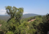 Parcel·la urbanitzable en venda a la España, Lloret de Mar, ref.: TR126281 foto