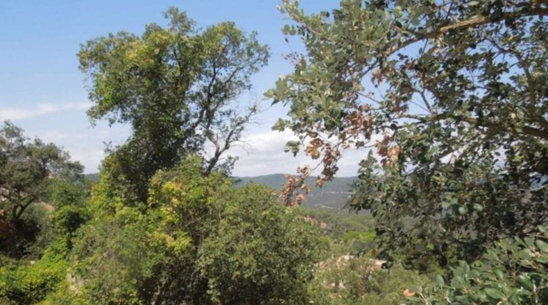 Gerona - Lloret de Mar - 800m2