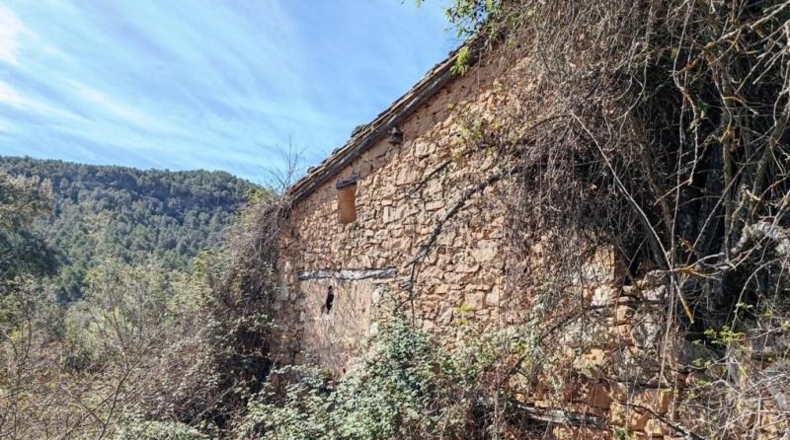 Teruel - Fuentespalda - 201401m2