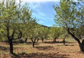 Xalet independent amb terreny en venda a la España, Fontdespatla, ref.: TR160354 foto