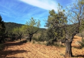 Xalet independent amb terreny en venda a la España, Fontdespatla, ref.: TR160354 foto