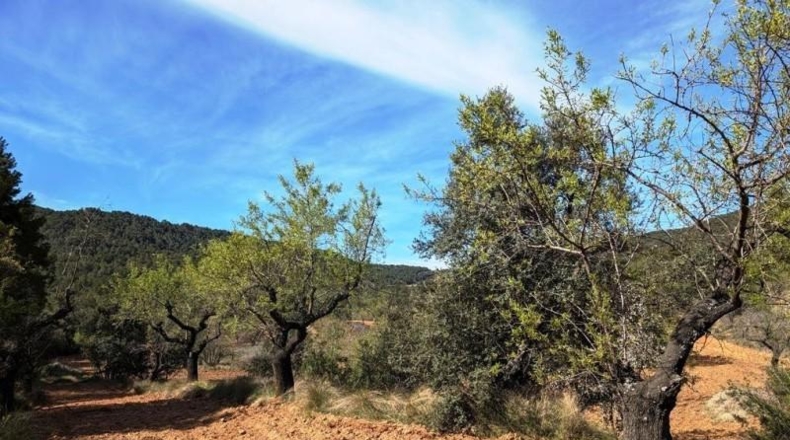 Teruel - Fuentespalda - 201401m2