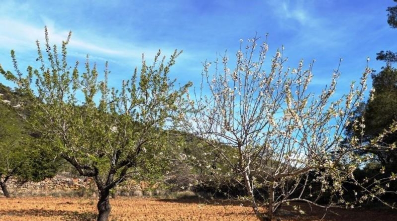 Teruel - Fuentespalda - 201401m2