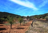Xalet independent amb terreny en venda a la España, Fontdespatla, ref.: TR160354 foto