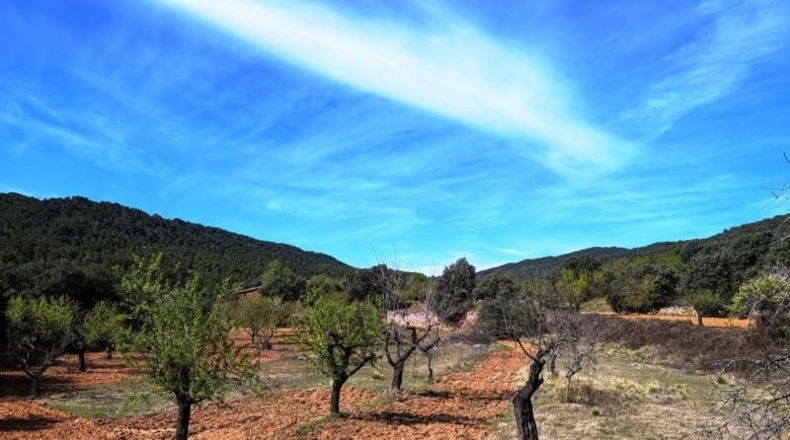Teruel - Fuentespalda - 201401m2