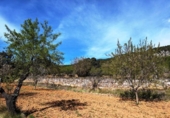 Xalet independent amb terreny en venda a la España, Fontdespatla, ref.: TR160354 foto