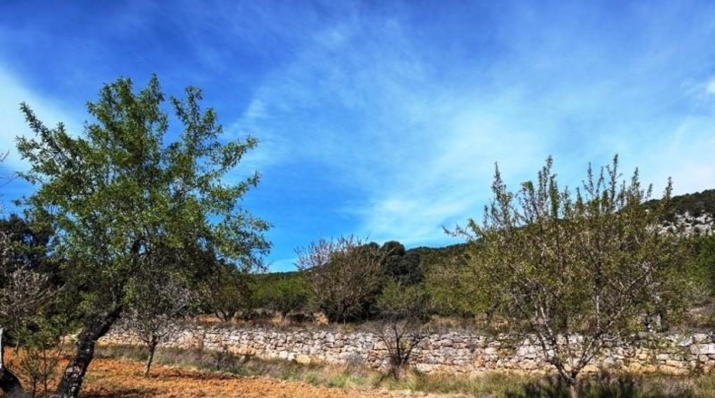 Teruel - Fuentespalda - 201401m2