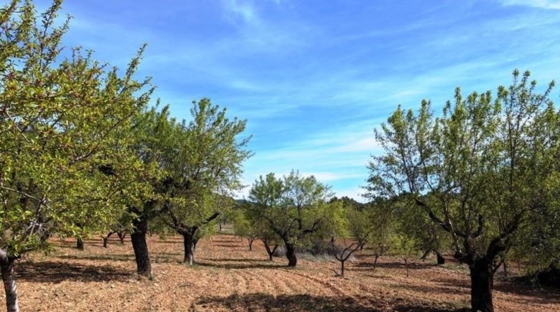 Teruel - Fuentespalda - 201401m2