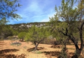 Xalet independent amb terreny en venda a la España, Fontdespatla, ref.: TR160354 foto