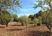 Xalet independent amb terreny en venda a la España, Fontdespatla, ref.: TR160354 foto