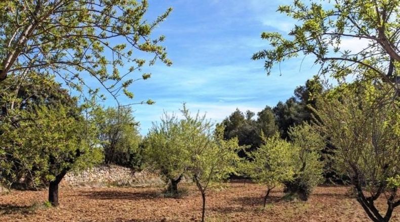Teruel - Fuentespalda - 201401m2