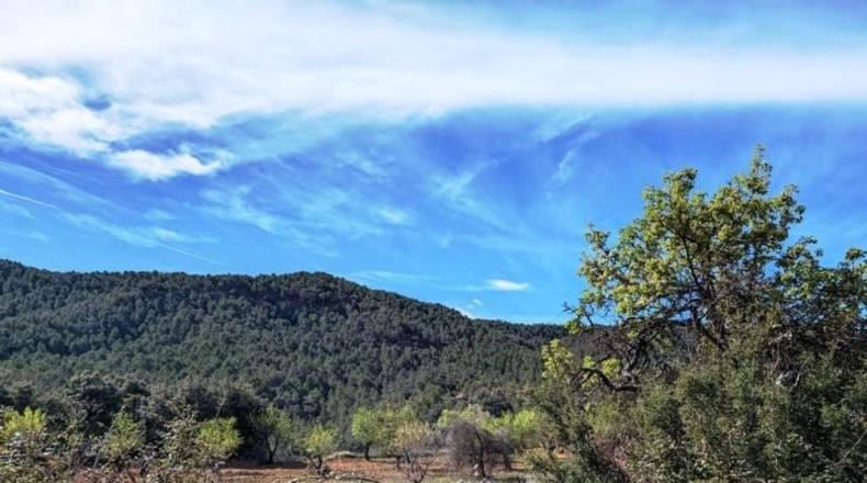Teruel - Fuentespalda - 201401m2