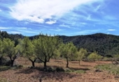 Xalet independent amb terreny en venda a la España, Fontdespatla, ref.: TR160354 foto
