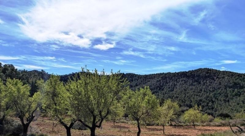Teruel - Fuentespalda - 201401m2