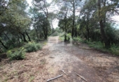 Parcel·la urbanitzable en venda a la España, Vacarisses, ref.: TR250470 foto
