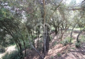 Parcel·la urbanitzable en venda a la España, Vacarisses, ref.: TR250470 foto