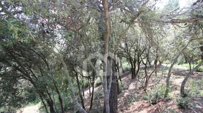 Barcelona - Vacarisses - 2860m2