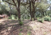 Parcel·la urbanitzable en venda a la España, Vacarisses, ref.: TR250470 foto