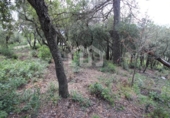 Parcel·la urbanitzable en venda a la España, Vacarisses, ref.: TR250470 foto