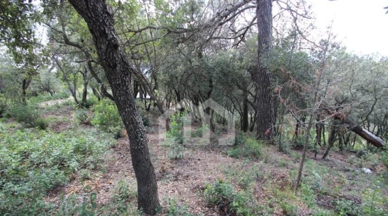 Barcelona - Vacarisses - 2860m2