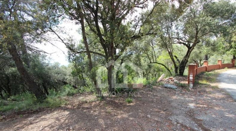 Barcelona - Vacarisses - 2860m2