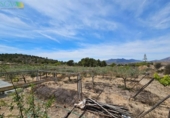 Casa de camp amb terreny en venda a la España, la Romana, ref.: TR300975 foto