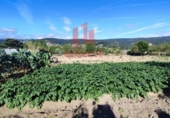 Xalet independent amb terreny en venda a la España, San Cibrao das Viñas, ref.: TR163073 foto