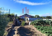 Xalet independent amb terreny en venda a la España, San Cibrao das Viñas, ref.: TR163073 foto