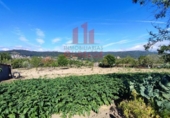 Xalet independent amb terreny en venda a la España, San Cibrao das Viñas, ref.: TR163073 foto