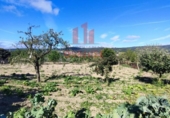Xalet independent amb terreny en venda a la España, San Cibrao das Viñas, ref.: TR163073 foto
