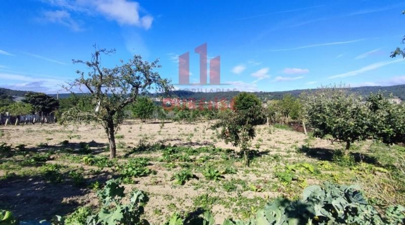 Orense - San Cibrao das Viñas - 3537m2