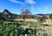 Xalet independent amb terreny en venda a la España, San Cibrao das Viñas, ref.: TR163073 foto