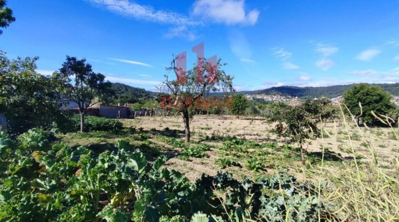 Orense - San Cibrao das Viñas - 3537m2