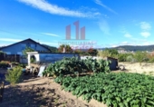 Xalet independent amb terreny en venda a la España, San Cibrao das Viñas, ref.: TR163073 foto