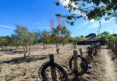 Xalet independent amb terreny en venda a la España, San Cibrao das Viñas, ref.: TR163073 foto