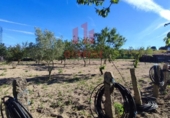 Xalet independent amb terreny en venda a la España, San Cibrao das Viñas, ref.: TR163073 foto