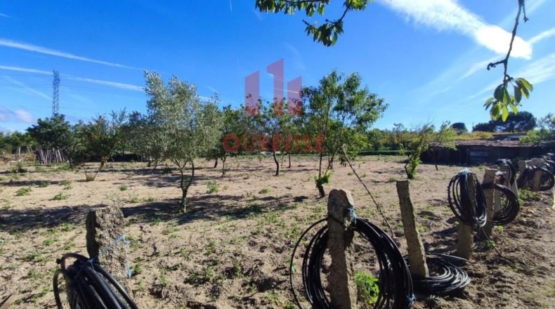 Orense - San Cibrao das Viñas - 3537m2