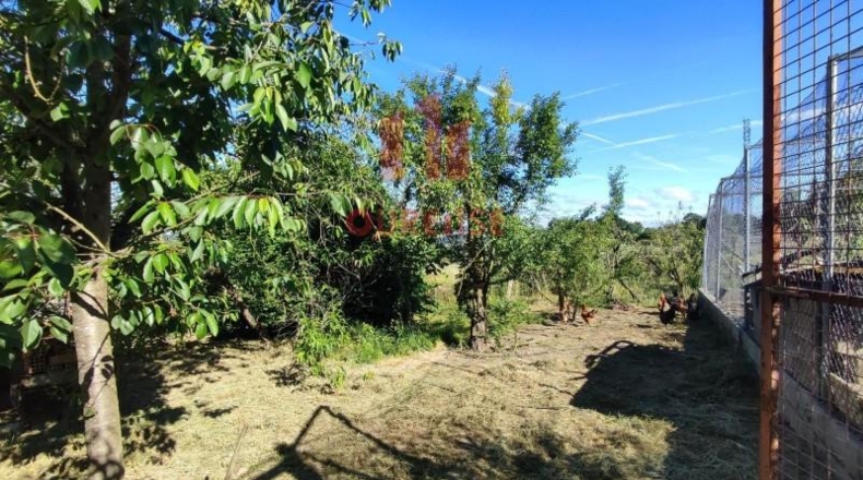 Orense - San Cibrao das Viñas - 3537m2